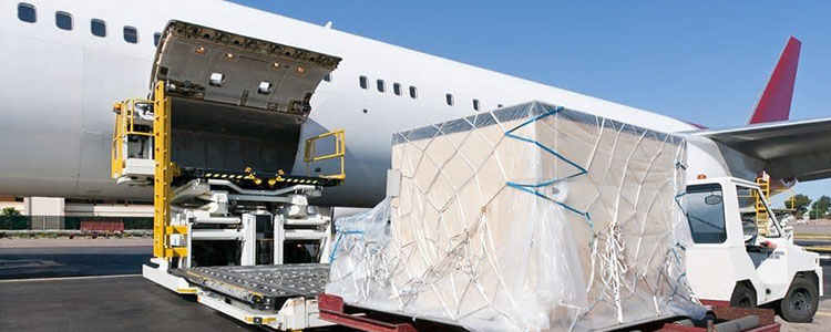 Conheça nossos serviços | Trans Falls Transportadora